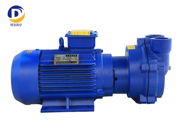 了解真空泵維修的性能參數(shù)情況